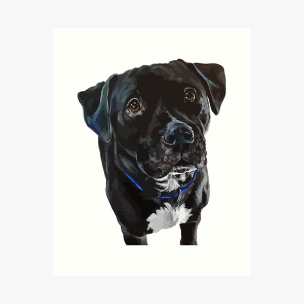 Pitbull Lab Mix Puppy Dog Cathy Peek Pets Art Jigsaw Puzzle by Cathy Peek -  Fine Art America