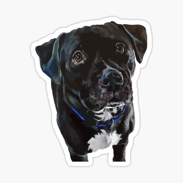 "Pit-bull/Lab Mix - Digital no background" Sticker for Sale by