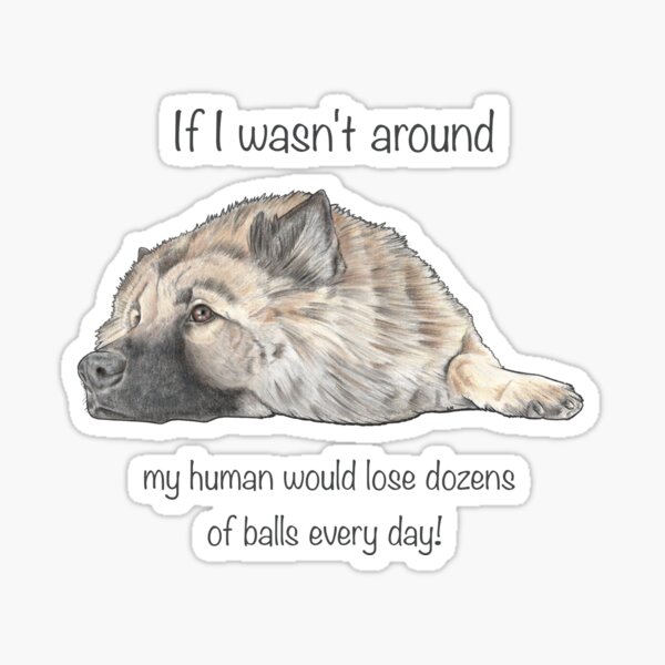 If I wasn’t around Sticker