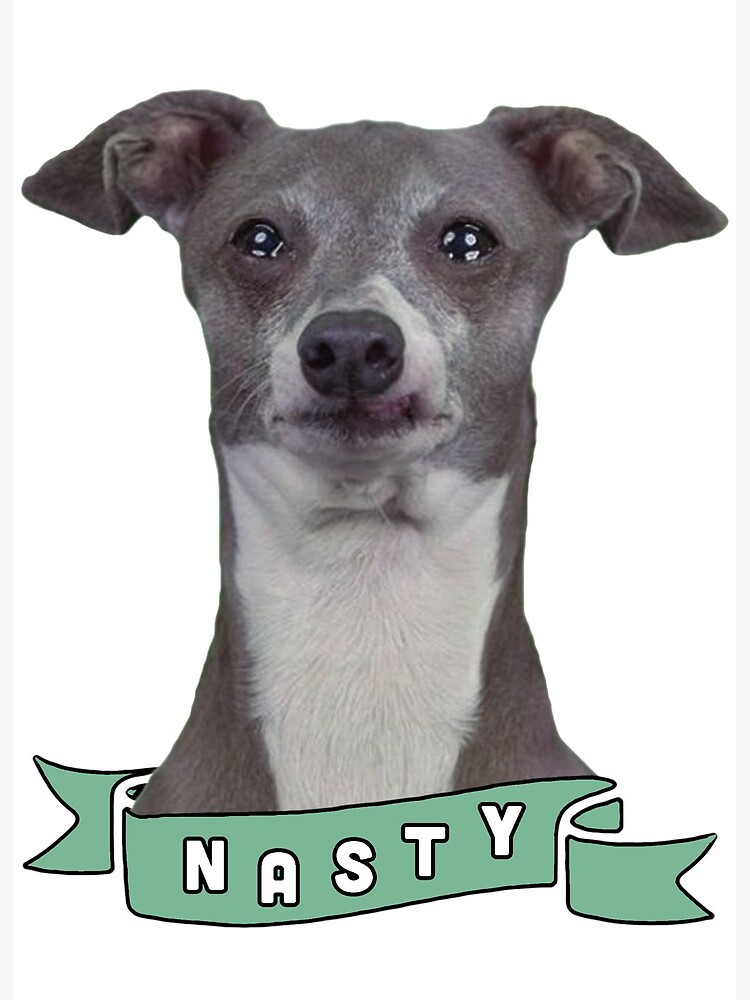 Nasty Kermit Jenna Marbles Art Board Print By Oddbirdout Redbubble