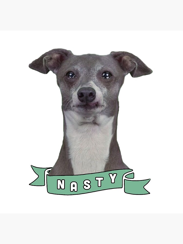 Nasty Kermit Jenna Marbles Tote Bag By Oddbirdout Redbubble