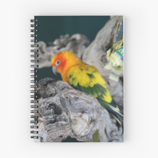 Item preview, Pretty Bird designed and sold by Photos67.