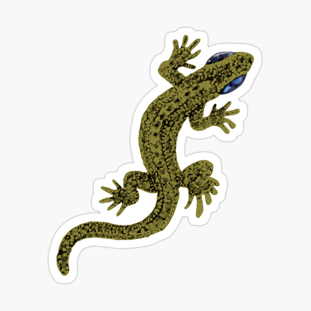 Spirit Animal Lizard Spirit Animal Lizard