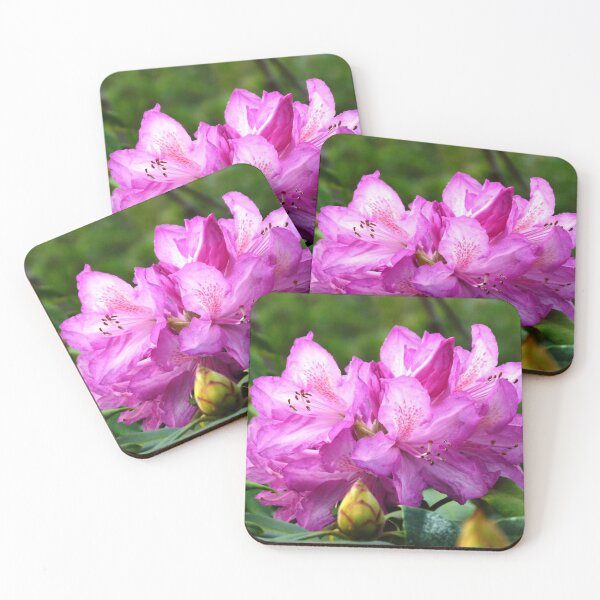 Item preview, Rhododendron  designed and sold by Trish Meyer.