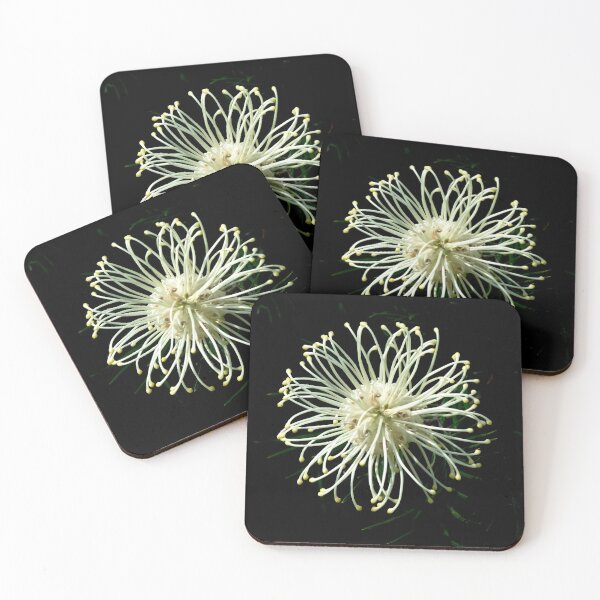 Item preview, Grevillea Moonlight designed and sold by Trish Meyer.