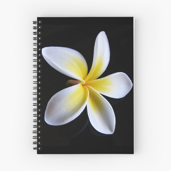 Item preview, Fallen Frangipani designed and sold by Trish Meyer.
