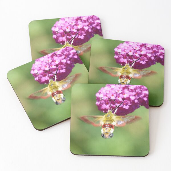 Item preview, Hawkmoth designed and sold by Trish Meyer.