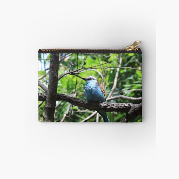 Item preview, Beautiful Blue Bird designed and sold by Photos67.