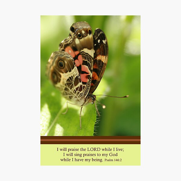 Item preview, Praise the Lord designed and sold by Lisa Putman.
