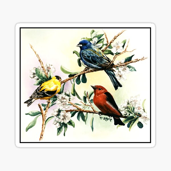 Songbirds - goldfinch, indigo bunting and scarlet tanager Sticker