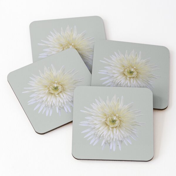 Item preview, White Gerbera on Light Grey designed and sold by STHogan2.