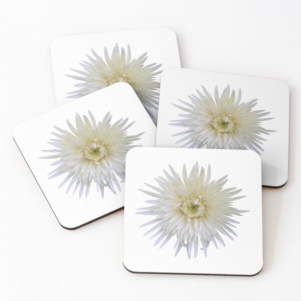 Item preview, White Gerbera on White designed and sold by STHogan2.