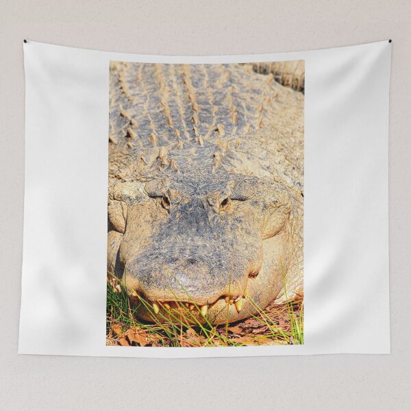 Aperçu de l'œuvre Alligator Vertical créée et vendue par LisaWootenPhoto.