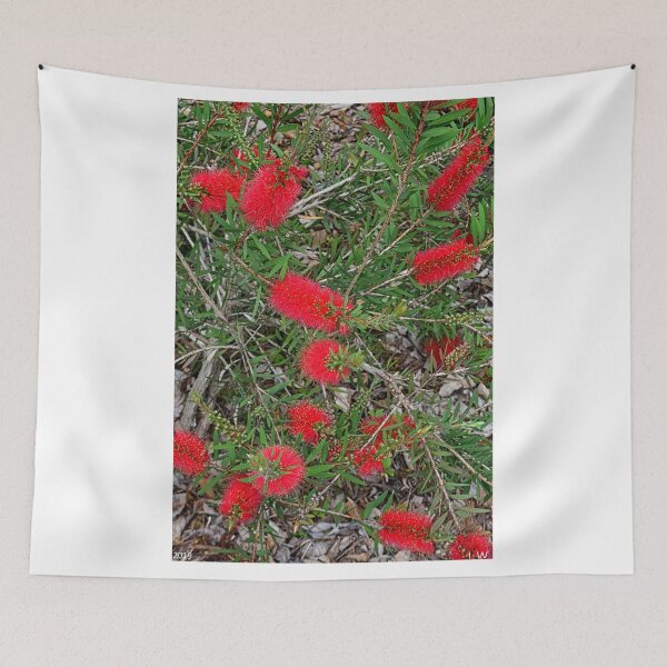 Item preview, Bottlebrush Vertical designed and sold by LisaWootenPhoto.