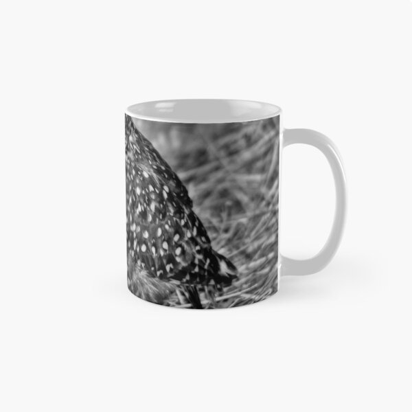 Artikelvorschau, Burrowing Owl (B&W) entworfen und verkauft von Larry Trupp.