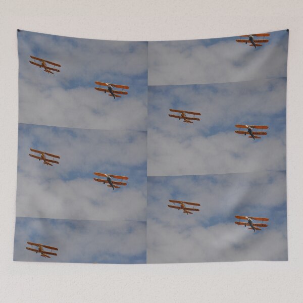 Item preview, 2019 Temora - Tiger Moth & Steerman Formation designed and sold by muz2142.