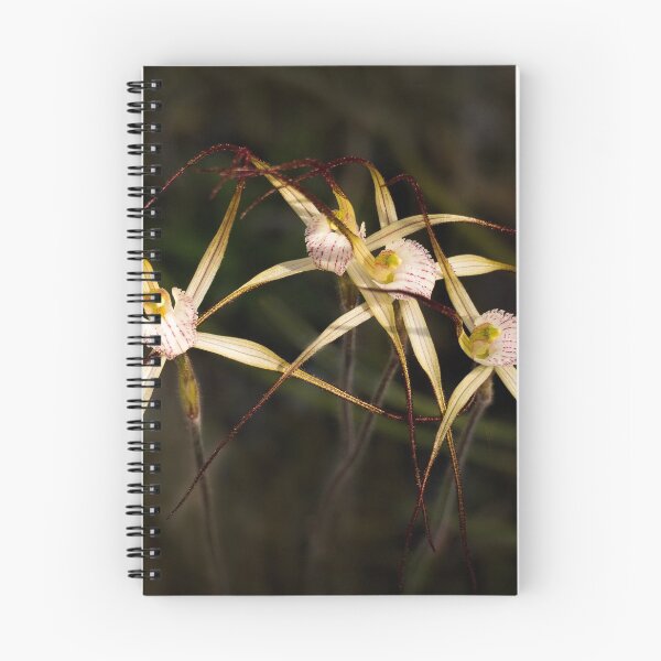 Item preview, Native Australian Orchids #1 designed and sold by louise.