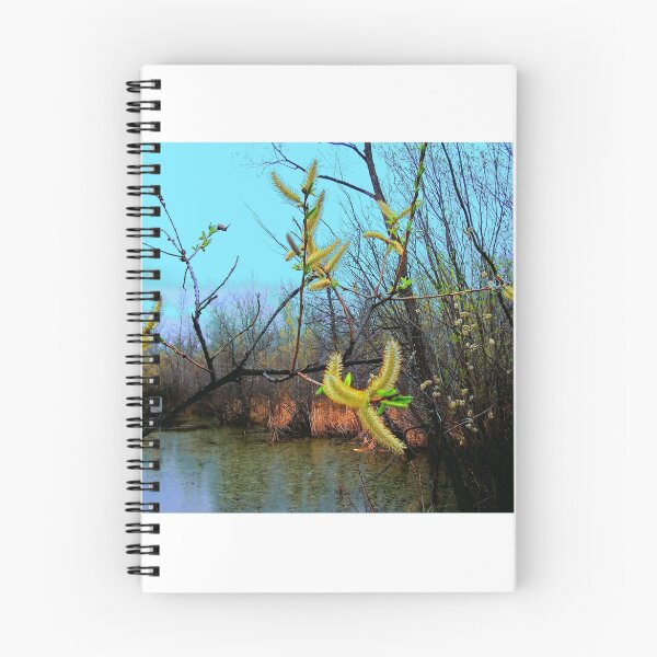 Item preview, The Catkins designed and sold by Larry Trupp.