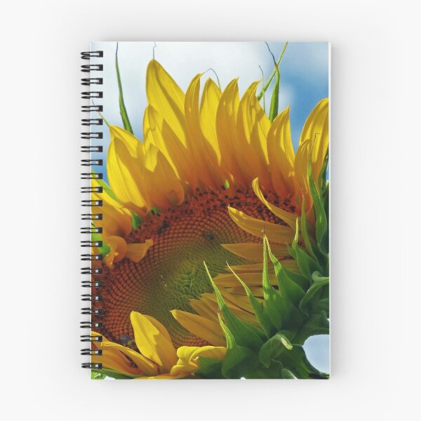 Item preview, Looking Towards the Sun designed and sold by Frankie Cat Photography.
