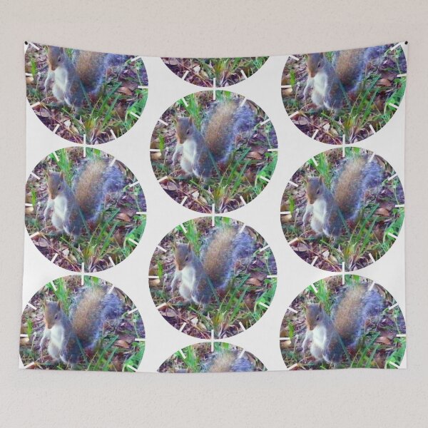 Item preview, Baby Squirrel Takes a Stand designed and sold by kristalcurt.