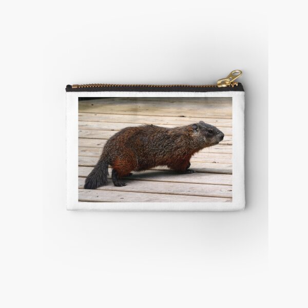 Item preview, Momma Woodchuck designed and sold by Larry Trupp.