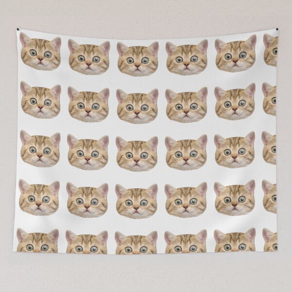 Item preview, surprised Cat designed and sold by James mendez.