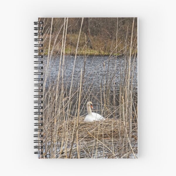 Item preview, Nesting Mute Swan 	 designed and sold by Sue Smith.