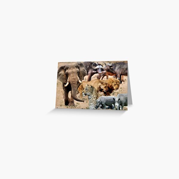 AFRICA'S BIG 5 - DIE GROOT 5 Greeting Card