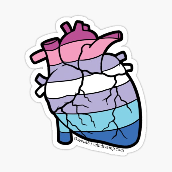 Bigender Pride Anatomical Heart Sticker