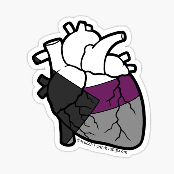 Demisexual Pride Anatomical Heart Sticker