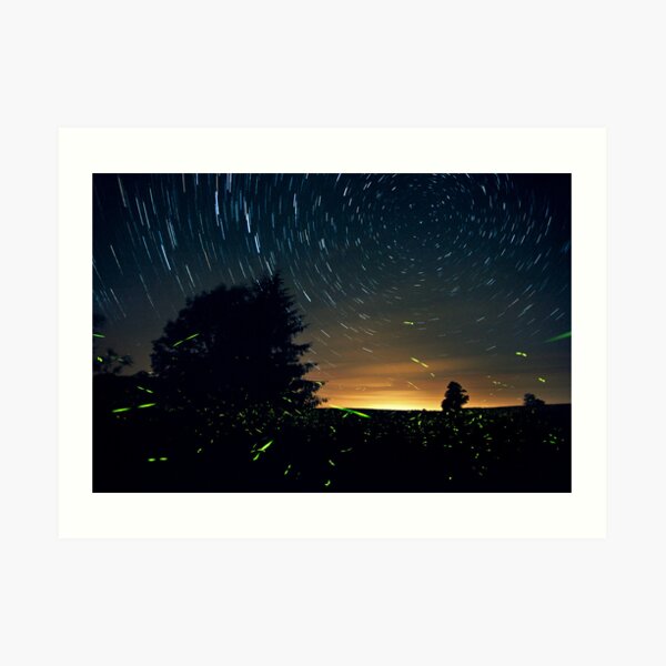 Springwater NY Art Print