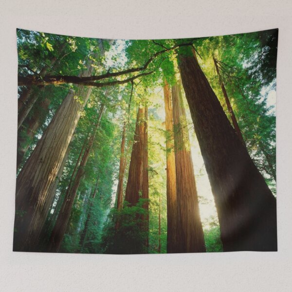 Item preview, Redwoods designed and sold by amelrose.