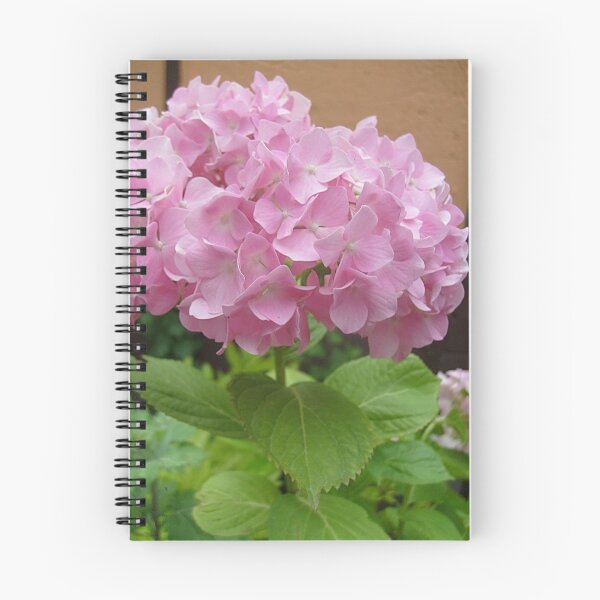 Item preview, Delicate hydrangea designed and sold by Ana Belaj.