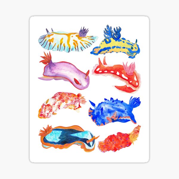 Nudibranchs Sticker