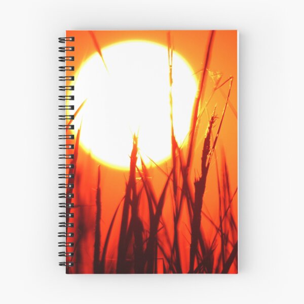 Item preview, Sol designed and sold by mcleod.