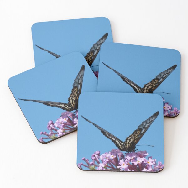 Item preview, Preparing for Takeoff. designed and sold by Trish Meyer.