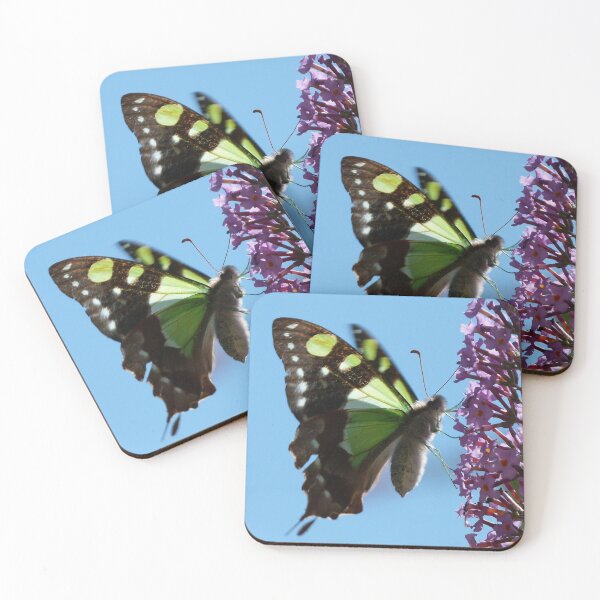 Item preview, Macleay's Swallowtail, Graphium macleayanus designed and sold by Trish Meyer.