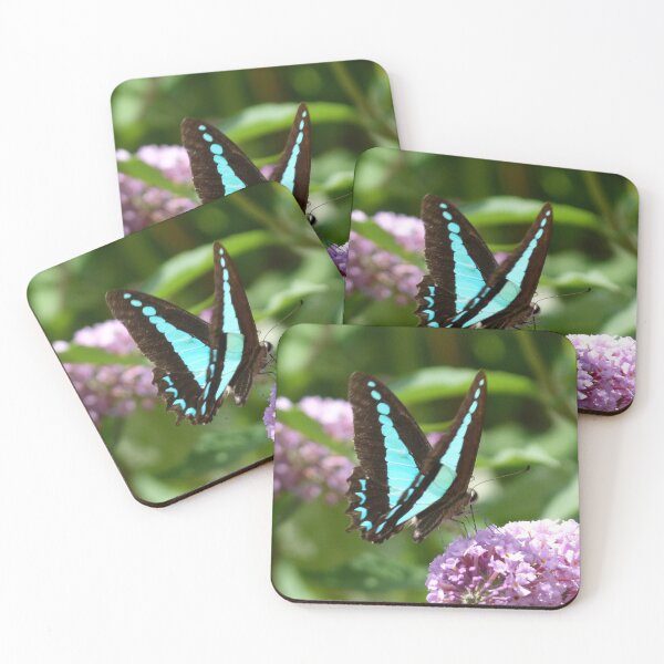 Item preview, Blue Triangle, Graphium sarpedon designed and sold by Trish Meyer.