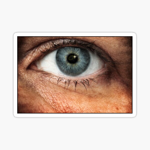 Into the soul Sticker