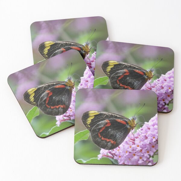 Item preview, Common (Black) Jezebel, Delias nigrina designed and sold by Trish Meyer.