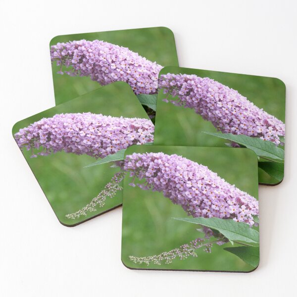 Item preview, Buddleja davidii designed and sold by Trish Meyer.