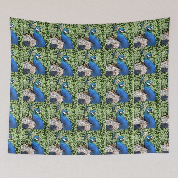 Item preview, Proud Peacock designed and sold by Trish Meyer.