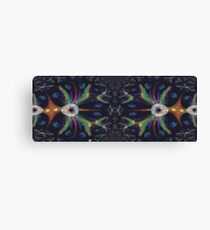 Two Spiders Web Together Canvas Print