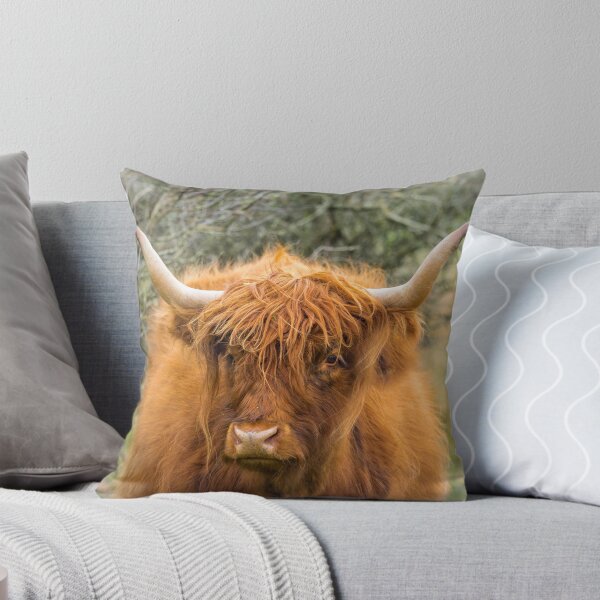 Item preview, Highland Cow. designed and sold by Postywood.