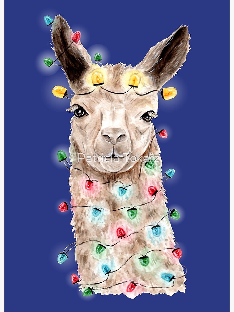 llama fairy lights