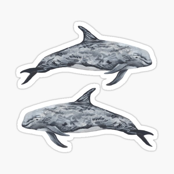 Item preview, Risso's Dolphins designed and sold by AJk6cr.