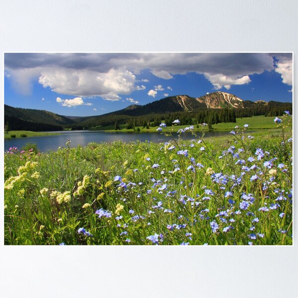 Item preview, Greens & Blues Are The Colors I Choose designed and sold by Gene Praag.