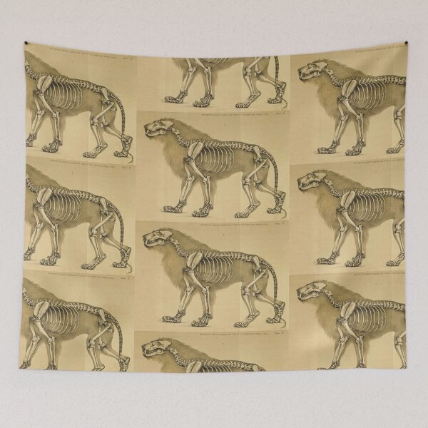 Item preview, Lion Skeleton designed and sold by Vintage Designs +.