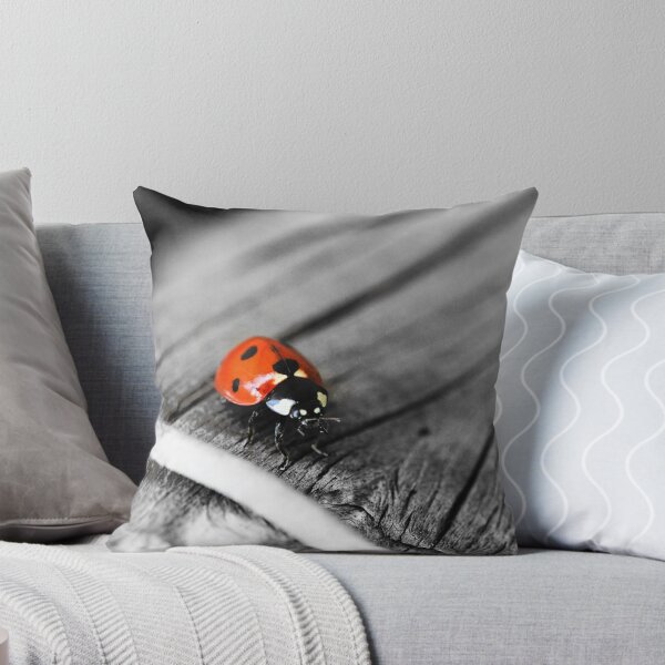 Item preview, Ladybird black and white photo colorsplash insect bug canvas art ladybug on wall pillow wood canvas designed and sold by yumania.
