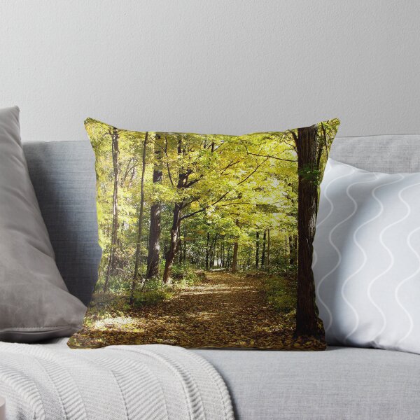Item preview, Forest path designed and sold by J Rier Photography.